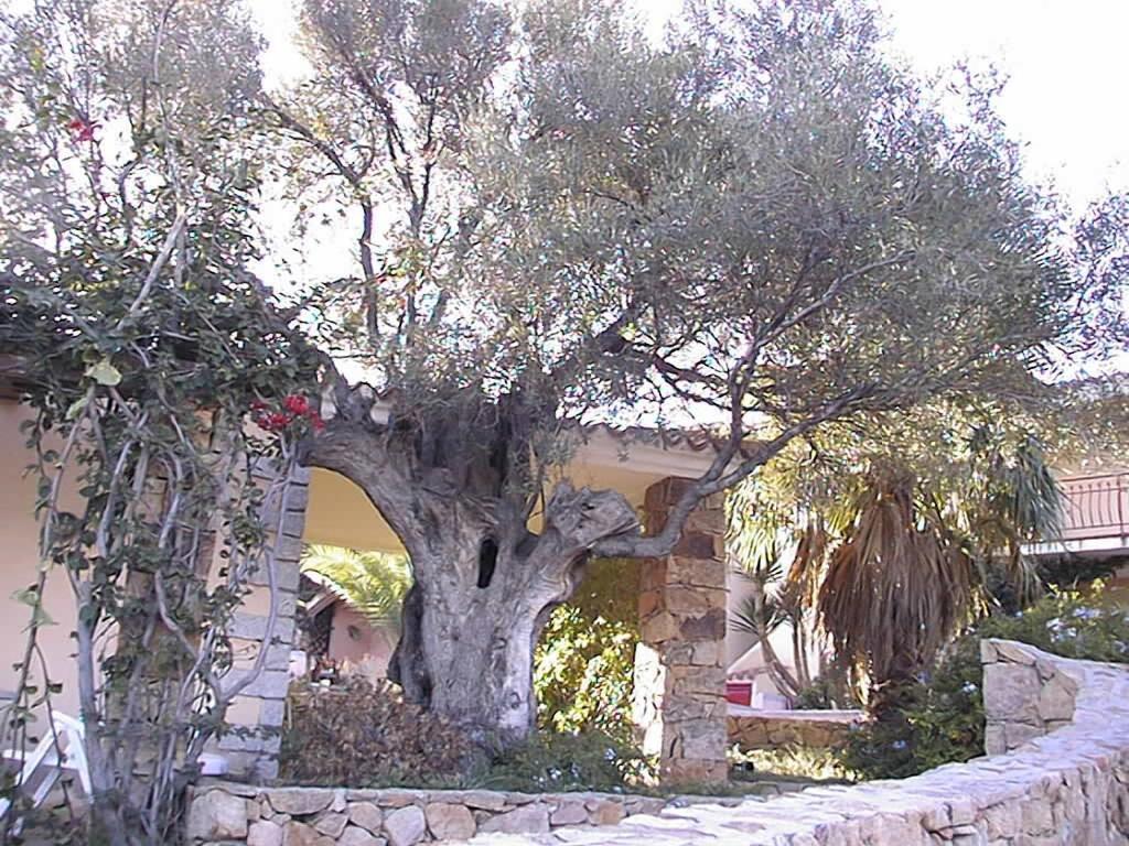 Aparthotel Borgo Le Logge Budoni Exterior foto